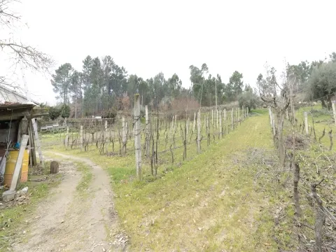 Terreno para Construção - São João de Lourosa