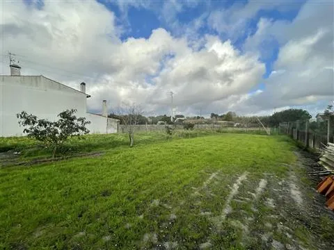 Terreno para construção / Com Muro / Marinha Grande