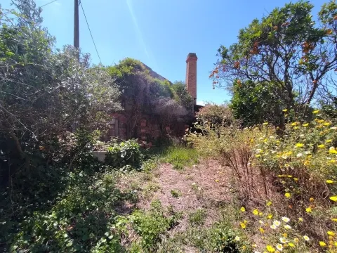 Moradia / Terreno / Vieira de Leiria / Marinha Grande