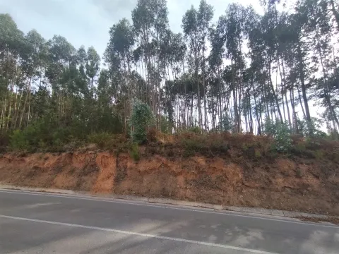 Terreno / Construção / Lameiras / Caranguejeira  