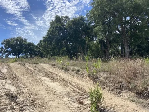 Terreno para construção / 1000m2 /Lagoa / Ortigosa / Leiria