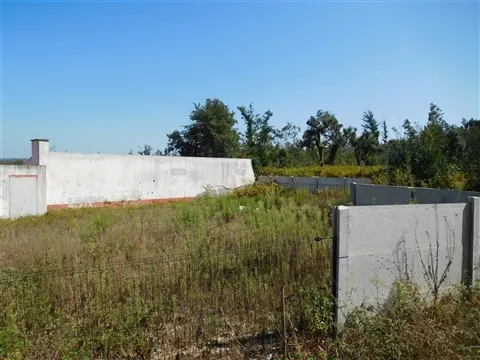 Real estate land