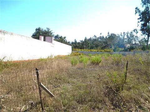 Real estate land