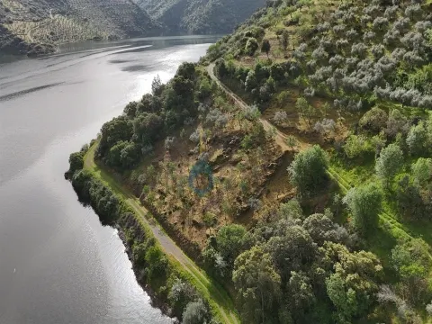 Terreno Rústico