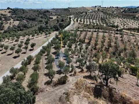 Landgrundstück