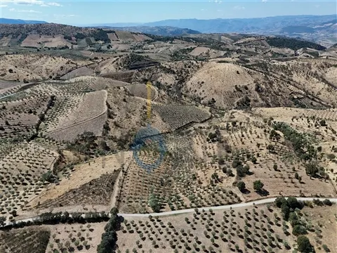 Landgrundstück