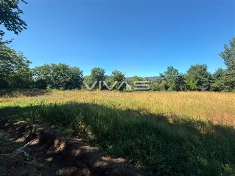 Terrain rural