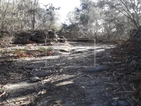 Real estate land