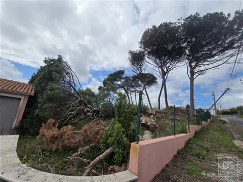 Terreno Urbano