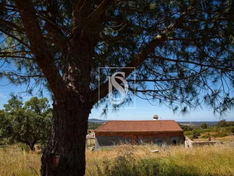 Quinta com 2,5 hectares em Ribeira de Nisa, Portalegre