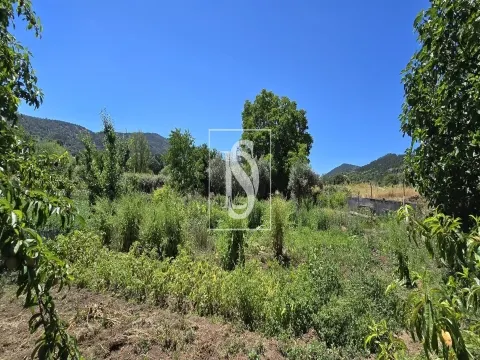Quinta T3 - São Salvador da Aremanha