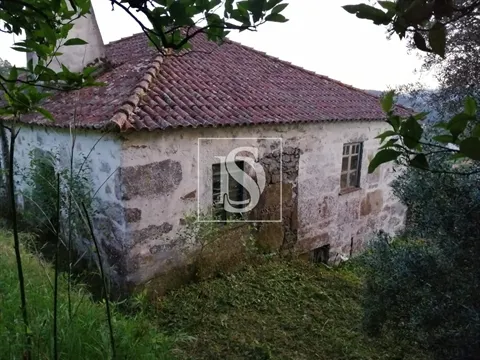 Quinta T2
