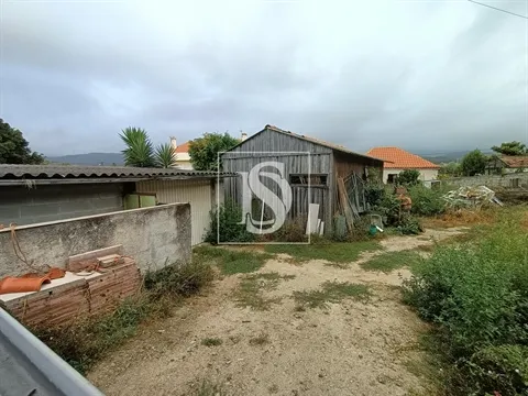 Terreno T3