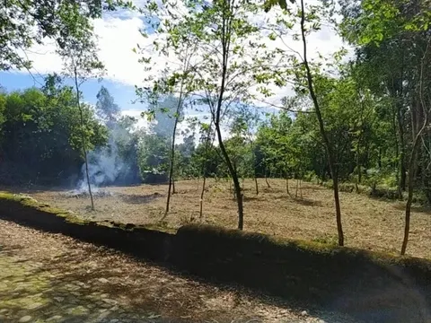 Terreno