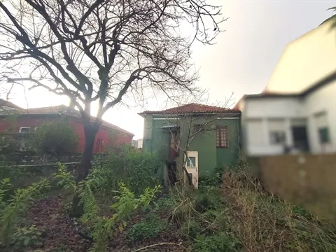 House T4