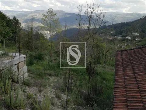 Terreno Rústico