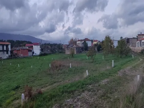 Terreno