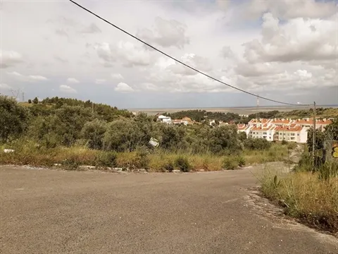 Terreno