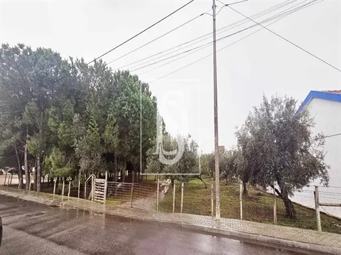 Terreno