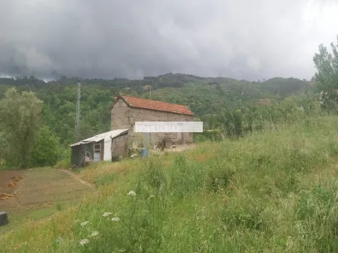 Terreno Rústico
