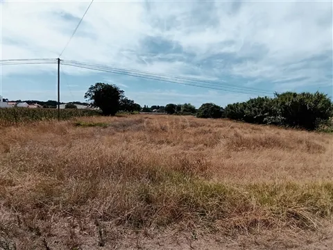 Lote de Terreno