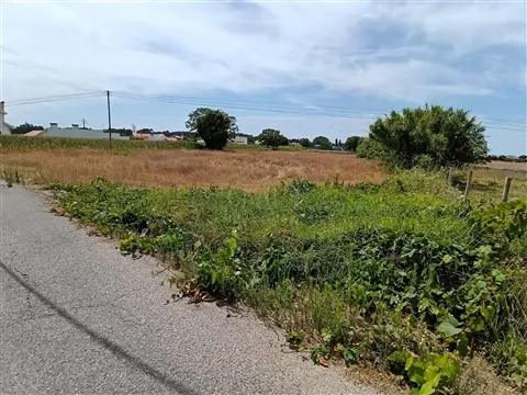 Lote de Terreno