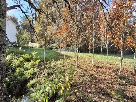 Terreno com viabilidade de construção em Vila Pouca, São Miguel do Mato, Vouzela