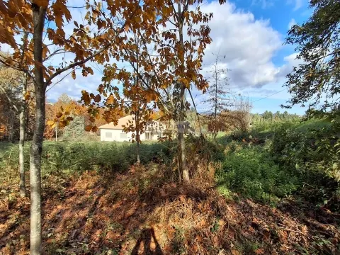 Terreno com viabilidade de construção em Vila Pouca, São Miguel do Mato, Vouzela