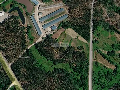 Real Estate