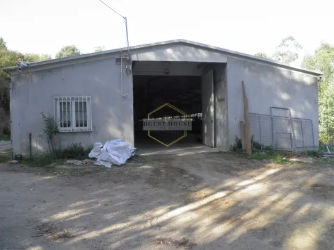 AVIÁRIO COM TERRENOS RÚSTICOS