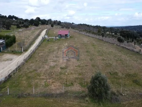 Terreno com arvores de fruto e uma construção, em Miranda do Douro.