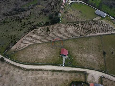 Terreno com arvores de fruto e uma construção, em Miranda do Douro.