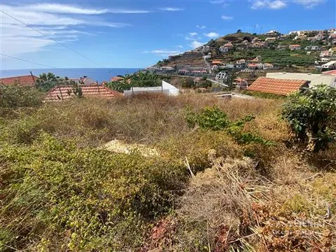 Piece of Real Estate