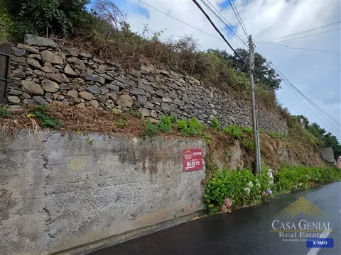 Terreno Misto