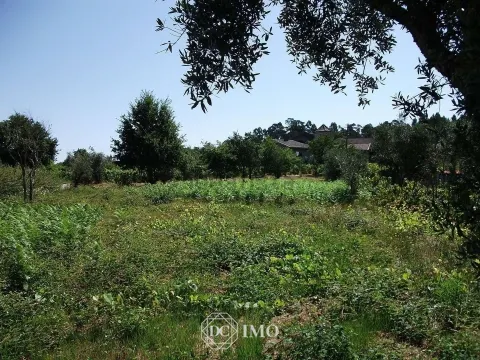 Terreno para construção na Ermida, Tondela
