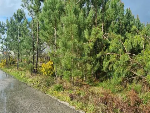Terrain à bâtir industriel à Picassinos, Marinha Grande