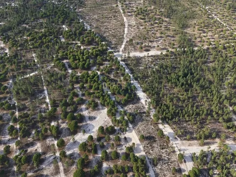Terreno agrícola en Grândola