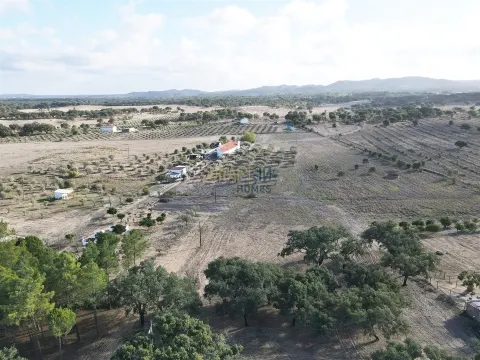 Terreno agrícola em Grândola