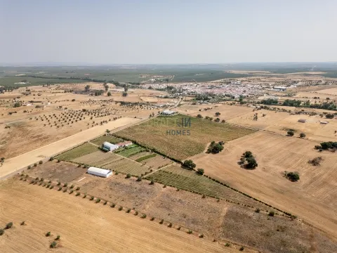 Quinta Biológica - Monte de Palma em Sao Manços com negócio.