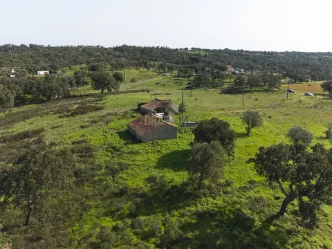 11.5-Hectare Farm in Alentejo