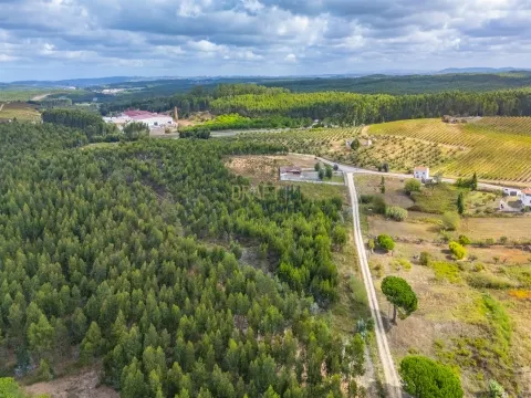 Terreno edificabile di 1000 m2.  