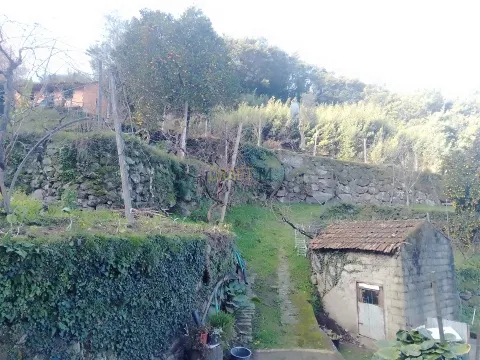 Terrain rustique à Cinfães - Viseu Terrain à vendre à Cinfães - Viseu