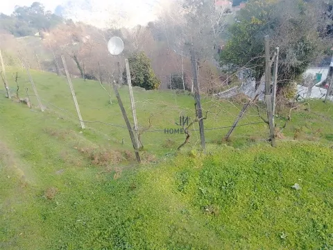 Terrain rustique à Cinfães - Viseu Terrain à vendre à Cinfães - Viseu