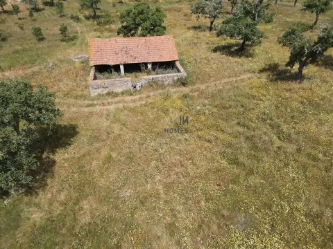 Terreno rústico de 32 hectáreas.