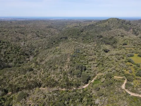 Terreno rustico sulla costa dell´Alentejo