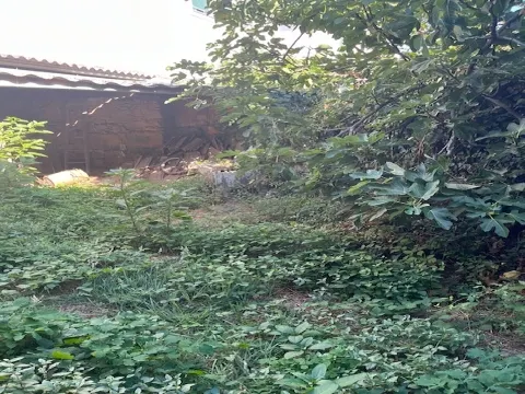 Moradias para restaurar