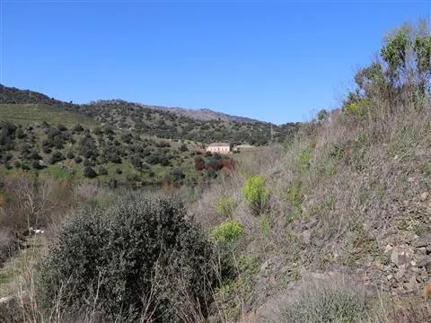 Fattoria / Cascina / Casale