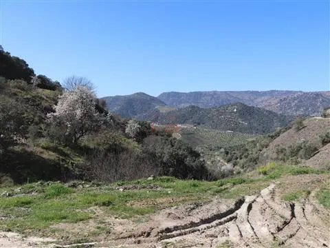 Fattoria / Cascina / Casale