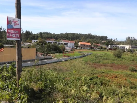 Lotto di Terreno