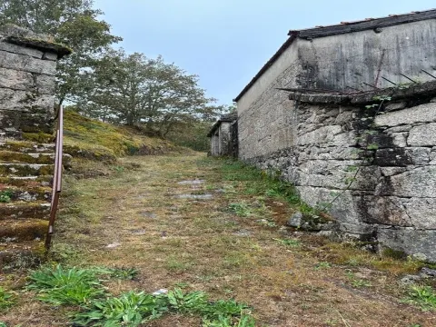 Detached house to restore T3